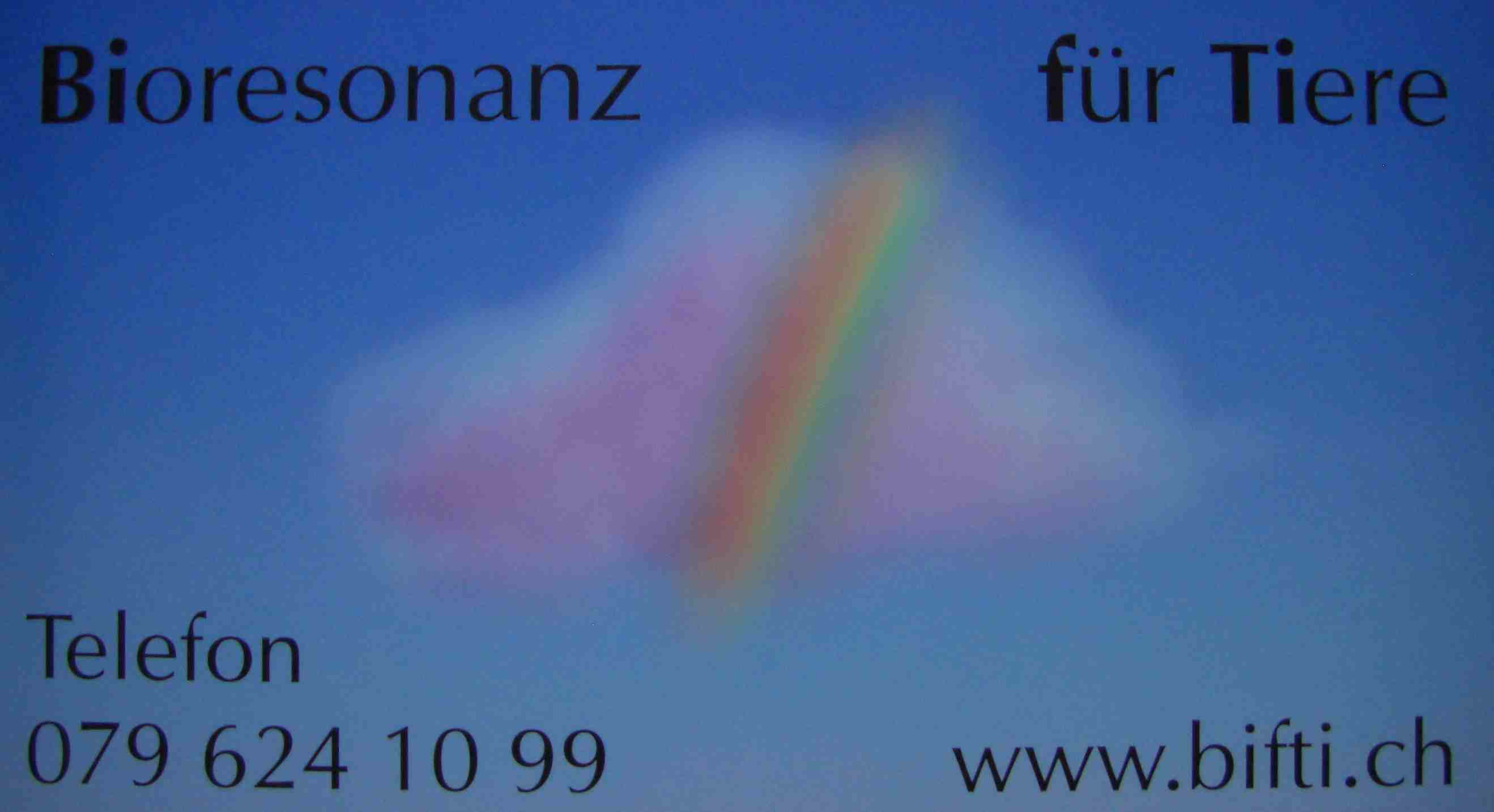 www.bifti.ch
